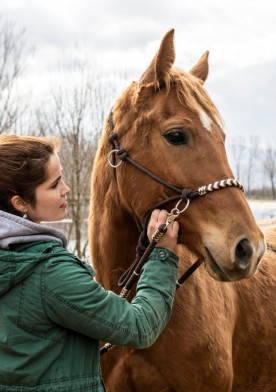 Jak przygotować się do ferii w siodle, czyli wszystko o obozach jeździeckich