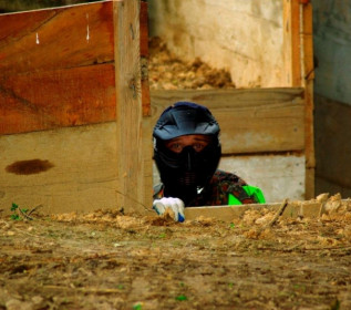 Paintball