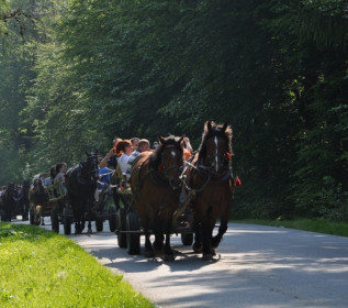 Ośrodek jeździecki