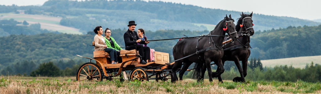 Kuligi i przejazdy bryczką