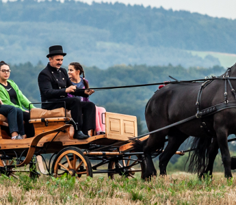 Kuligi i przejazdy bryczką